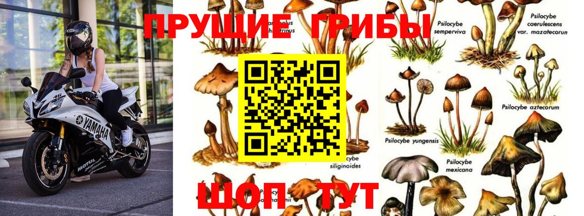 Псилоцибиновые грибы мухоморы Мелеуз